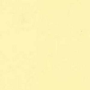 Meet your Posher, Ariana